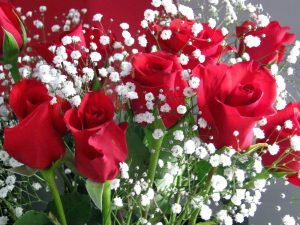 Happy Anniversary Flowers Bouquet Online